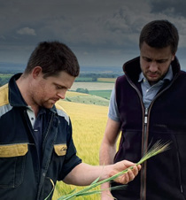 Research-backed agronomy to help you produce sustainable crops.