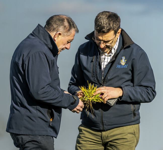 Peter and Richard inspecting swards